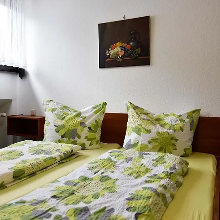 Gaestehaus Steinborn Хаймбах